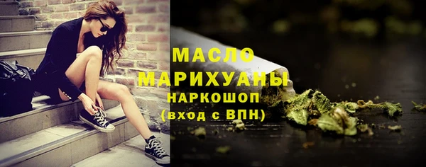 ECSTASY Бородино