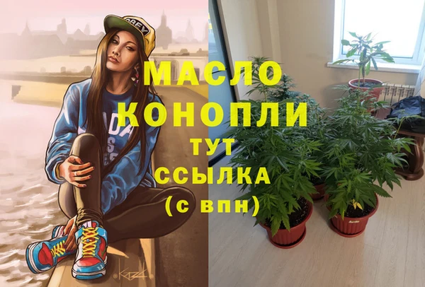 соль ск Верхний Тагил