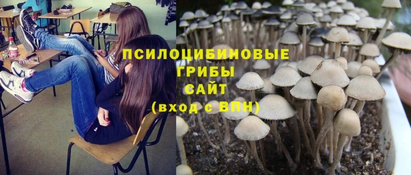 соль ск Верхний Тагил