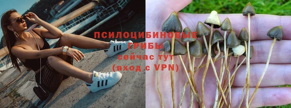 соль ск Верхний Тагил